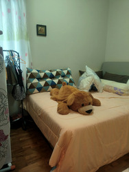 Stratford Court (D16), Condominium #450377391